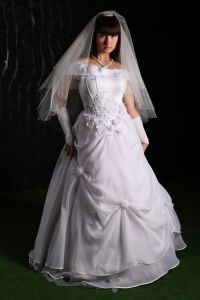 Girl in a Wedding Dress